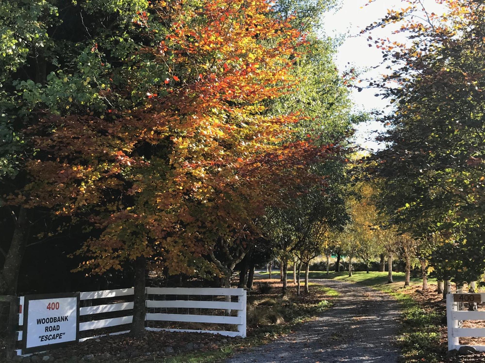Woodbank Road Escape Villa Hanmer Springs Kültér fotó